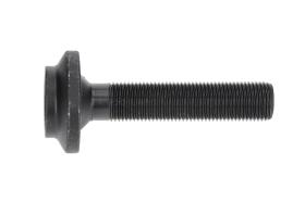 AIC 52043 - TORNILLO