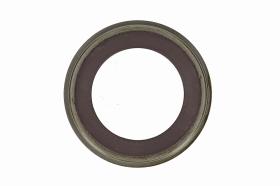 AIC 52189 - ANILLO SENSOR, ABS