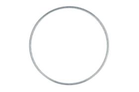 AIC 55330 - ANILLO SENSOR, ABS