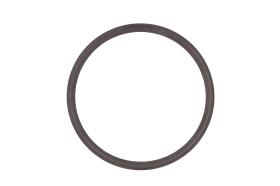 AIC 55331 - ANILLO SENSOR, ABS