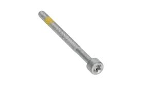 AIC 57979 - TORNILLO, SOPORTE INYECTOR
