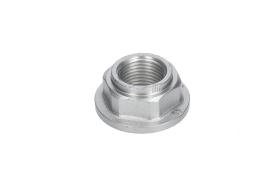 AIC 58844 - MUñóN DE EJE