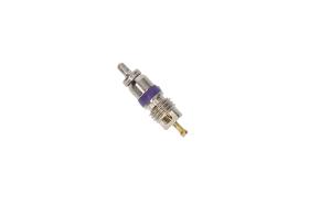 AIC 71323 - NUCLEO, VáLVULA DE SERVICIO