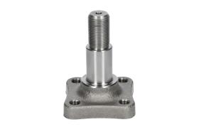 AIC 77469 - MUñóN DE EJE, CUERPO DEL EJE