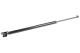 ACKOJA A37-0098